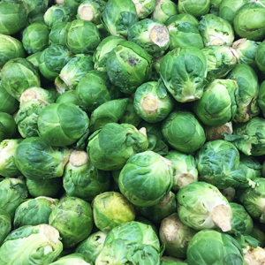 Sprouts