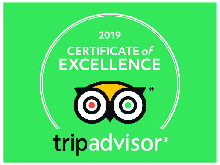 trip advisor certificate of excellence 2019 logo