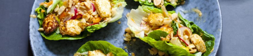 teriyaki chicken lettuce wraps