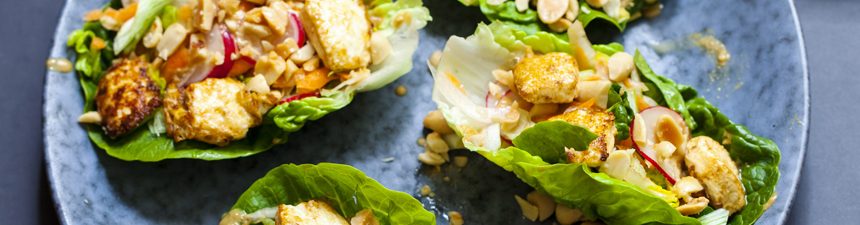 teriyaki chicken lettuce wraps