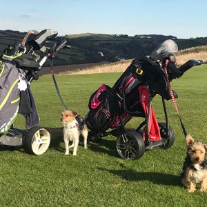 dogs with golf trolleys