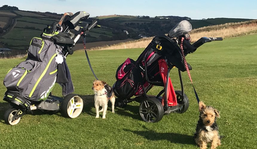 dogs with golf trolleys