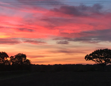 farm sunset