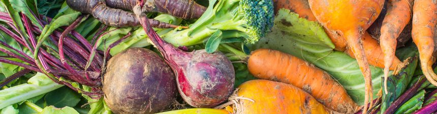 eat-with-seasons vegetables for winter seasons