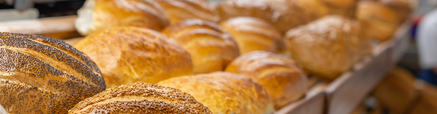 bread-featured-image-blog bread