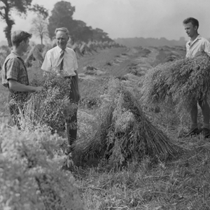 alan, albert and ken