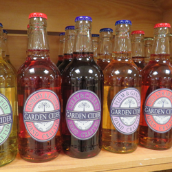 new products garden cider company bottles in row