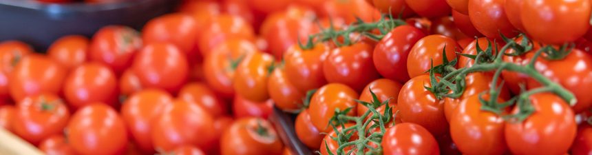 toms-featured-image Tomatoes