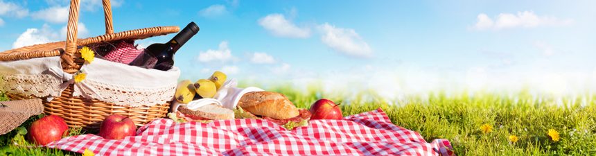 Picnic-banner Picnic Week