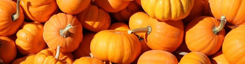 pumpkin-banner Halloween 2020