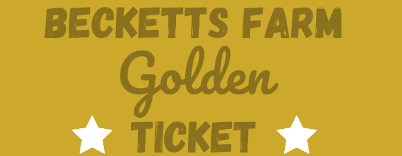 golden ticket