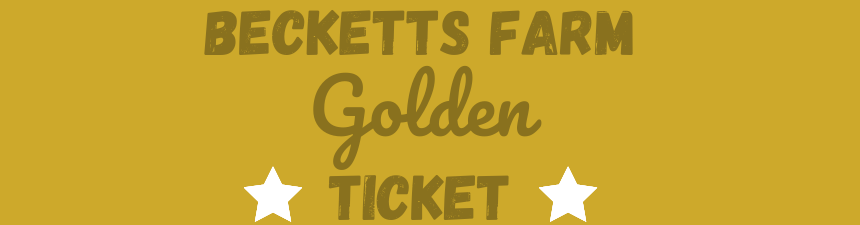 golden ticket