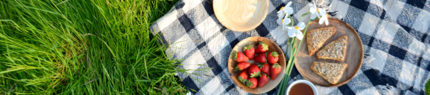 picnic rug and strawberries