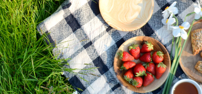 picnic rug and strawberries