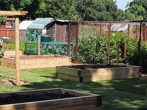 allotment