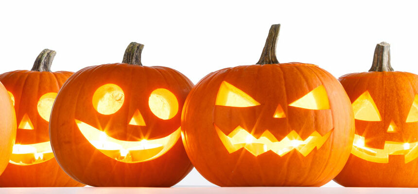 blog-main pumpkins
