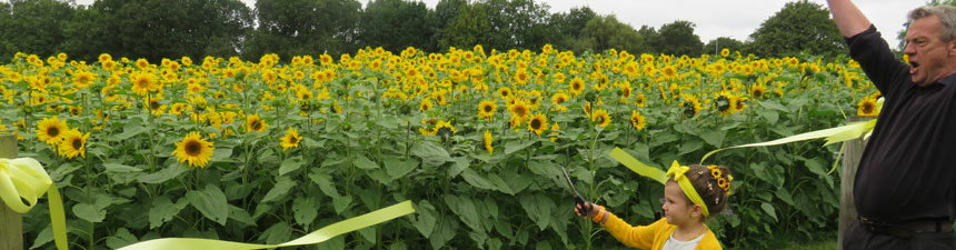 sunflower-banner The Gift of Giving