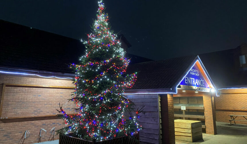 Simon’s News – December 2022