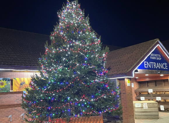 christmas tree