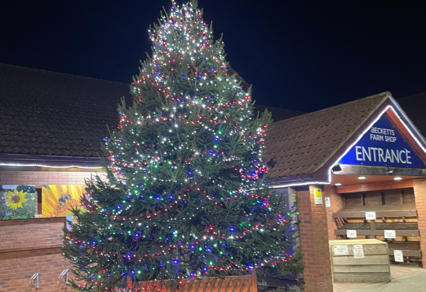christmas tree