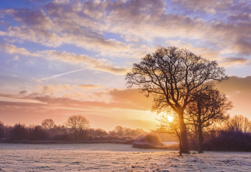 frosty field