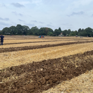 simon's news - ploughing