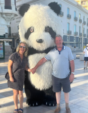 bear in alicante
