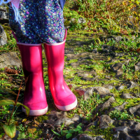 wellies 