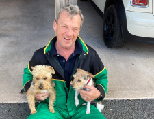 Simon with dogs 