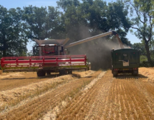 harvest