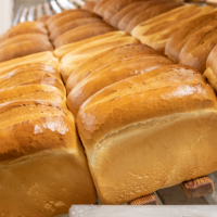 freshly baked bread