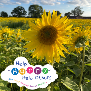 sunflower with help harry help others logo