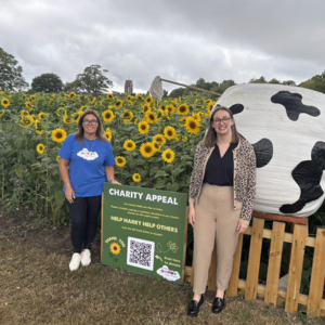 help harry help others and becketts farm sunflowers