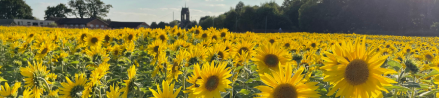 ROW feature image size (10) Becketts Farm Charity Highlights from 2025