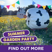 Summer Garden Party